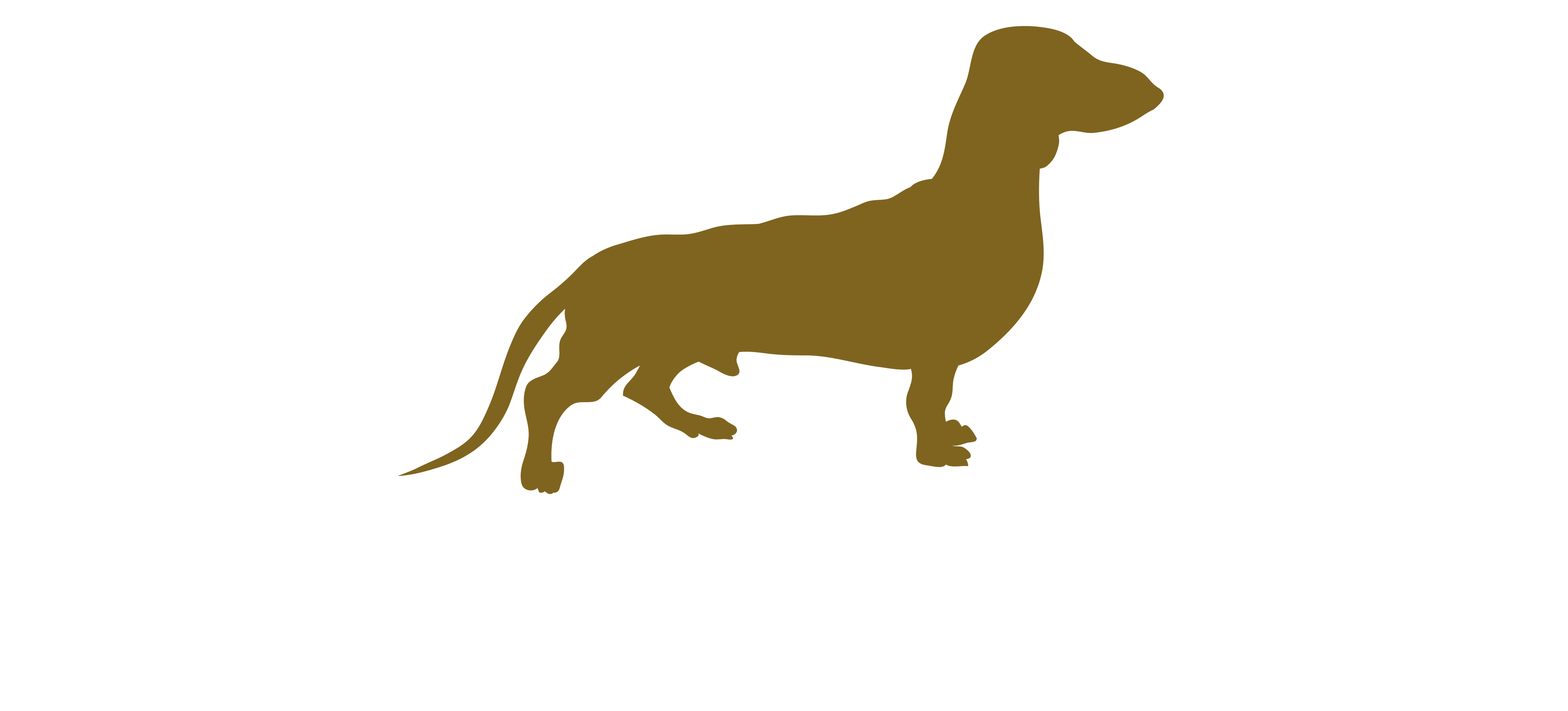 Pattison Shepley Ruvolo